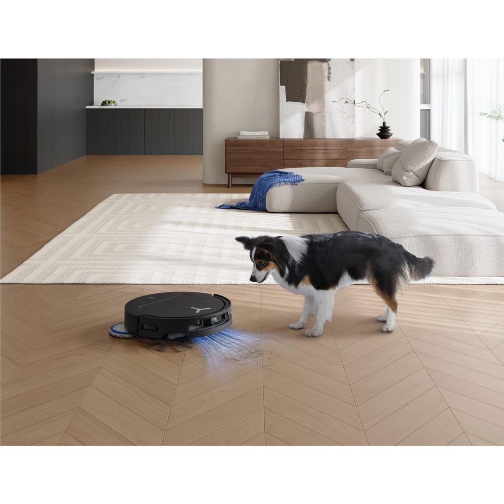 Robot vacuum cleaning pet hair beside a dog in a modern New Zealand home