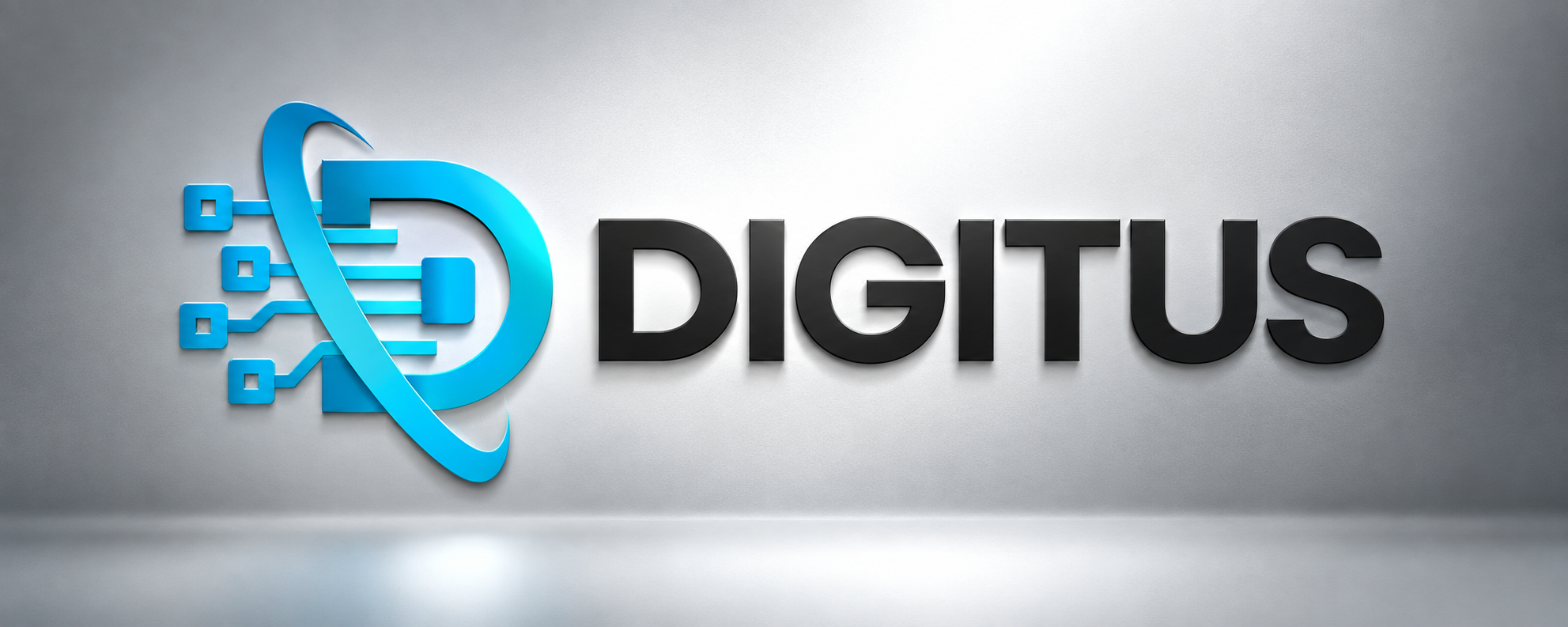 Digitus networking technology logo on a light silver and black metallic background.