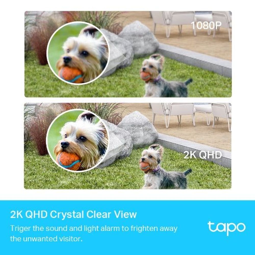 TP-Link Tapo camera system showing pet detection view on-screen