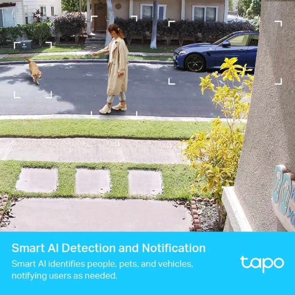 TP-Link Tapo camera system showing people detection notification view