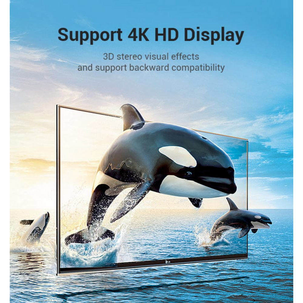 4K HDMI 270° adapter support graphic with ocean dolphin image