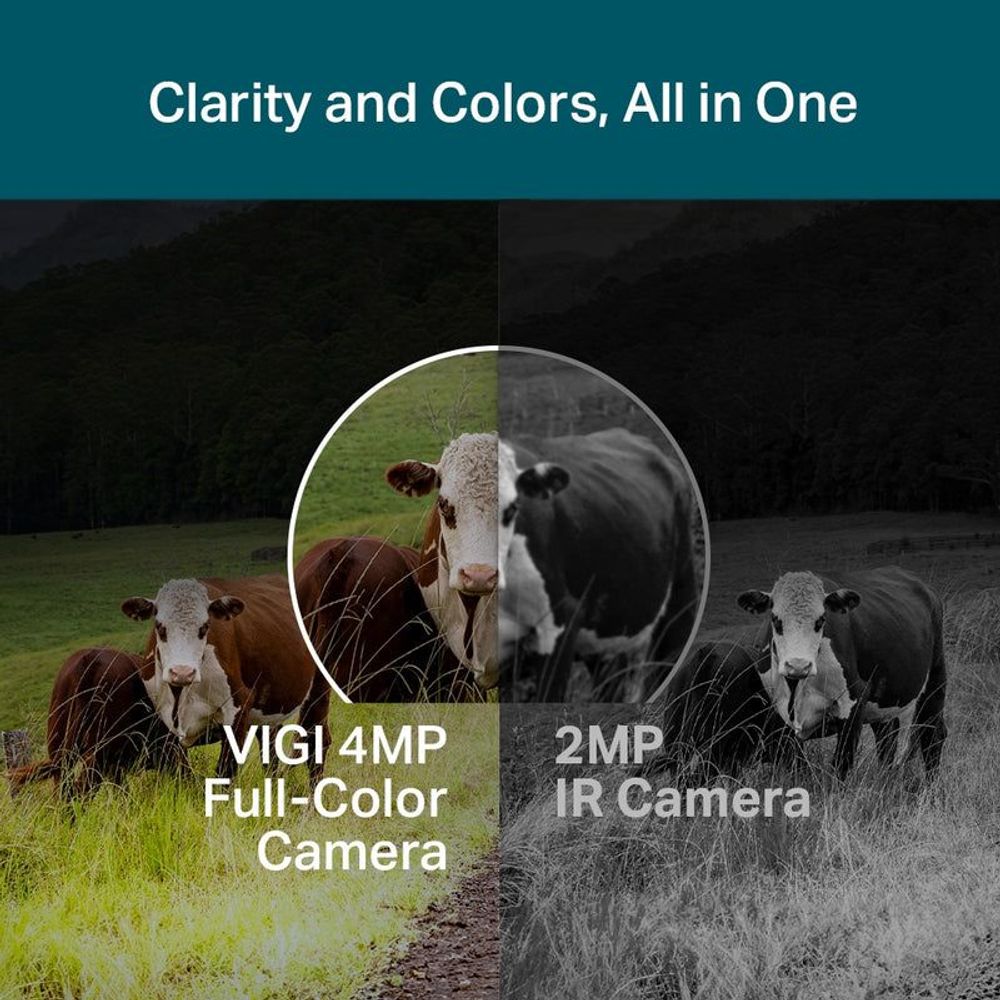 Outdoor full-color camera marketing showing animal images and video clarity labels