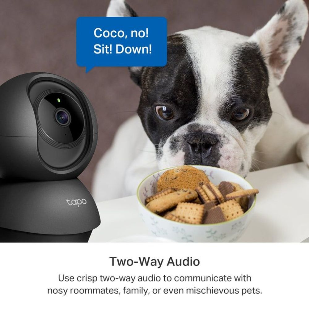 Black indoor pan-tilt security camera beside a dog with two-way audio cue