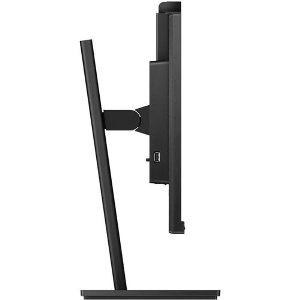 Philips webcam LCD monitor side ports and slim stand support