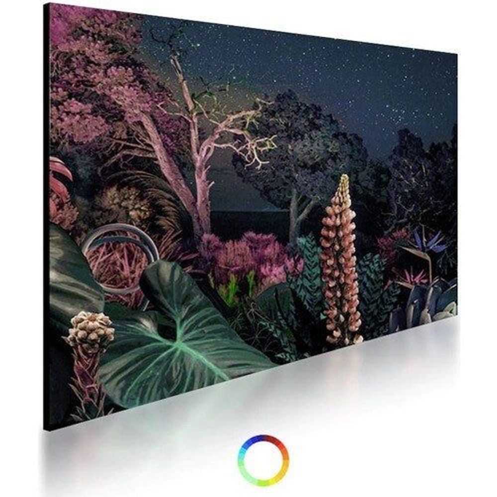 50-inch LCD digital signage display showing vivid jungle landscape with colorful lighting