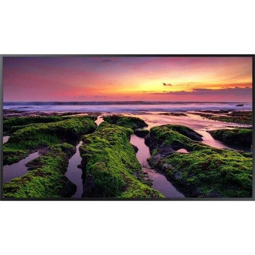 Samsung 65-inch professional display front view with a landscape scene and thin bezel