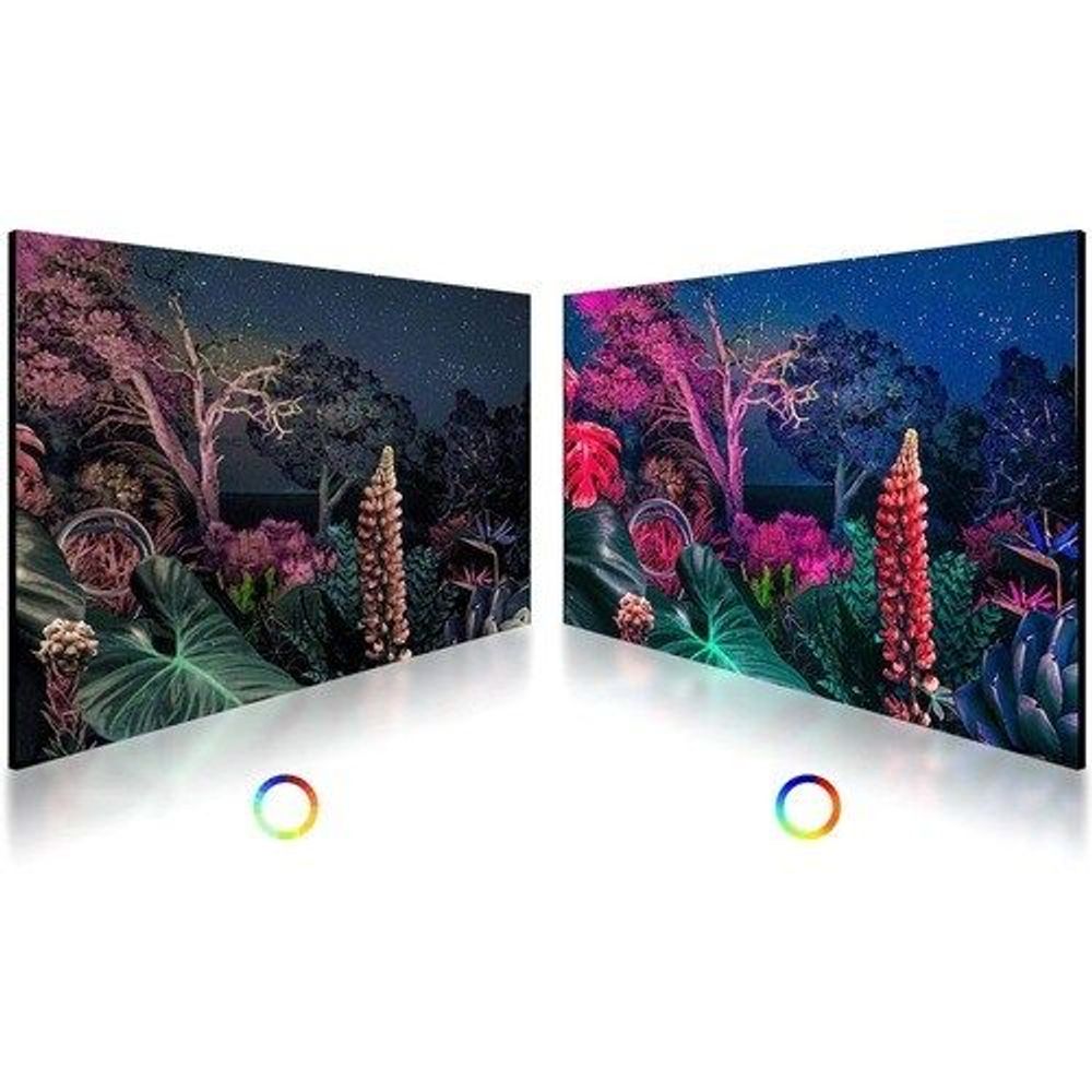 65-inch professional LCD display with split-screen colorful landscape on black bezel
