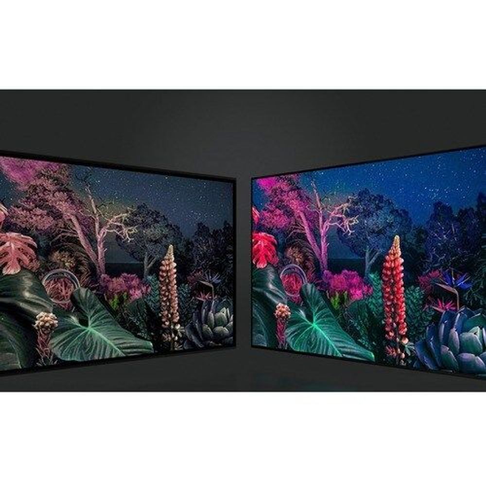 Samsung 55-inch Smart LED-LCD TV showing two-panel colorful garden display.