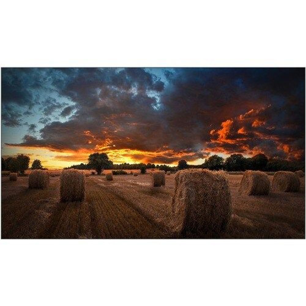 46-inch digital signage LCD display showing hay bales at sunset