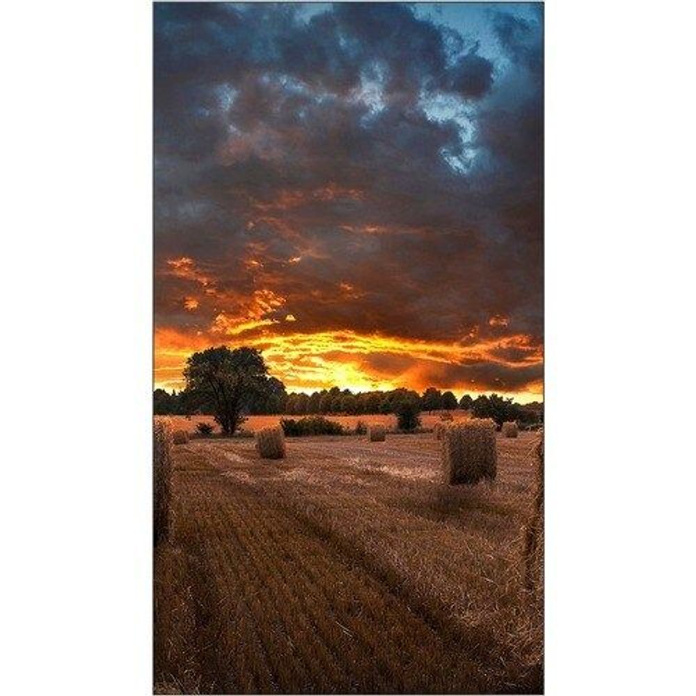 Samsung 55-inch LCD video wall display, front view with narrow bezel and scenic landscape
