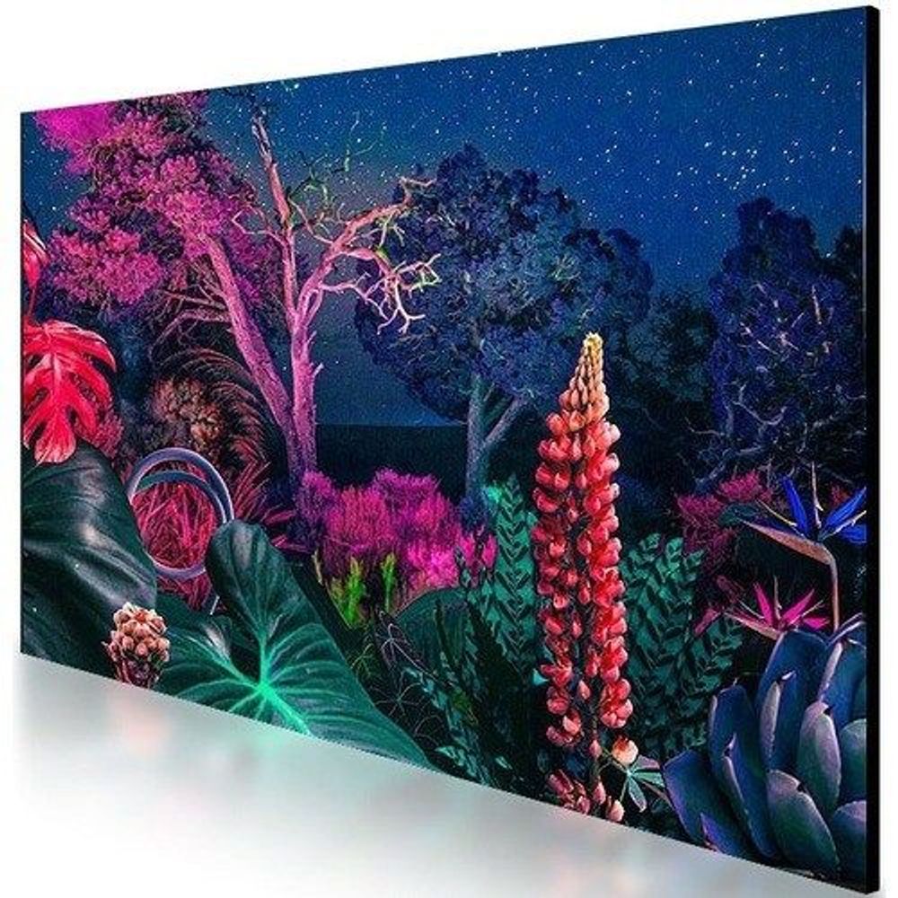 50-inch Samsung professional LCD display showing a colorful nature landscape on screen