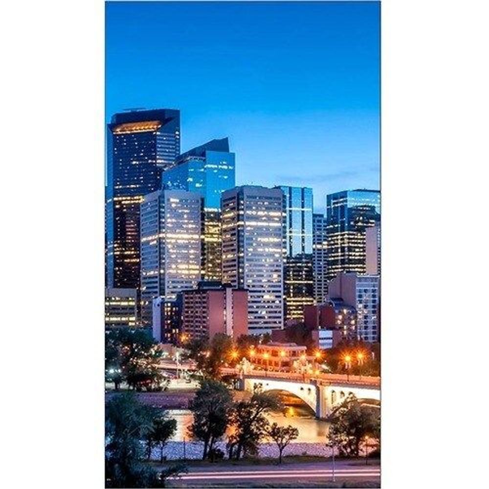 55-inch Samsung digital signage LCD display showing a night city skyline