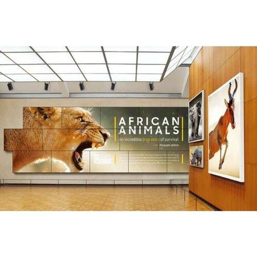 55-inch LCD digital signage display showing African animals exhibition graphics