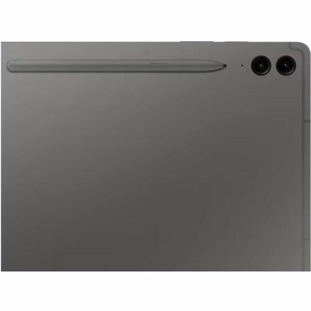 Gray tablet back with stylus slot and dual rear camera openings.