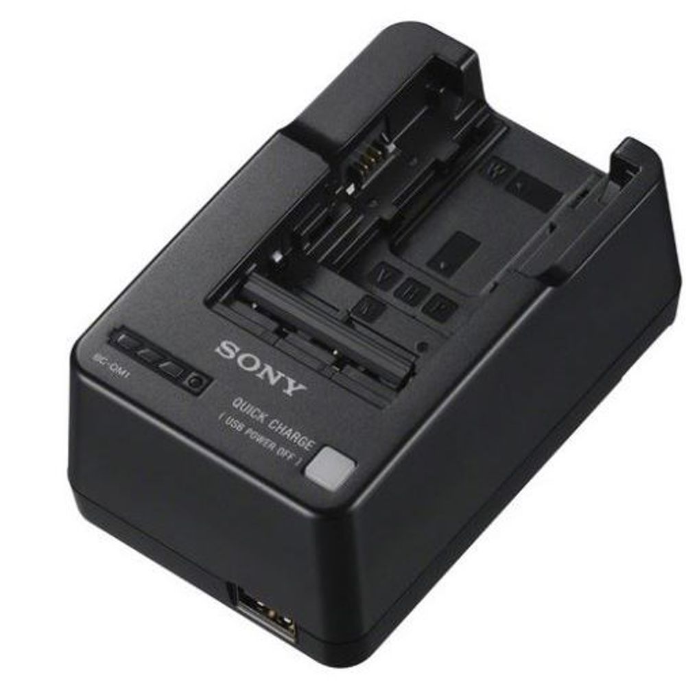 BCQM1 - Sony BCQM1 Charger W M V H P Series Batteries