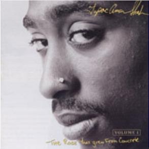 Rose That Grew From Concrete, By: 2pac / Tupac