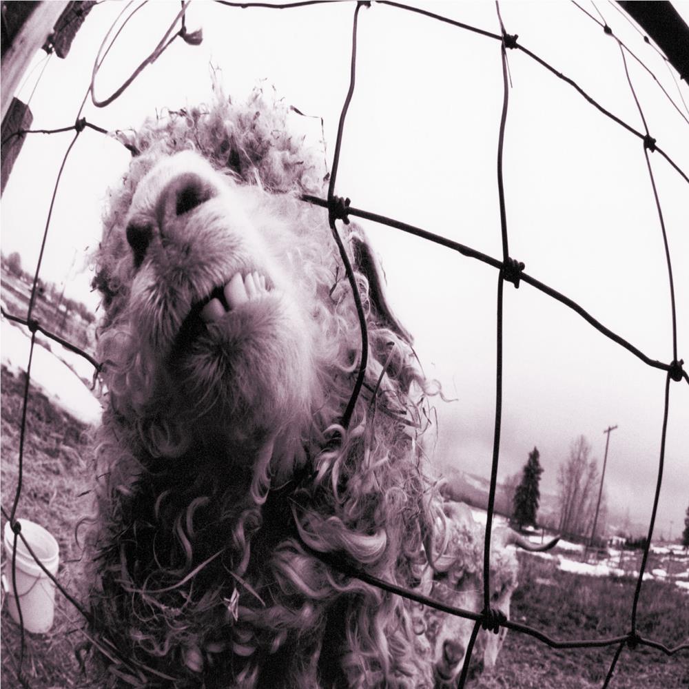 VS (Legacy Edition Vinyl) (Reissue) - By:Pearl Jam