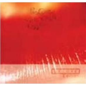 Kiss Me, Kiss Me, Kiss Me, By: The Cure