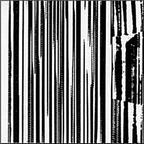 Harsh 70's Reality (Vinyl) - By: Dead C
