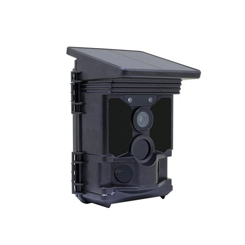 4K Outdoor Trail Camera with Integrated Solar Panel | Tech Supply Shed