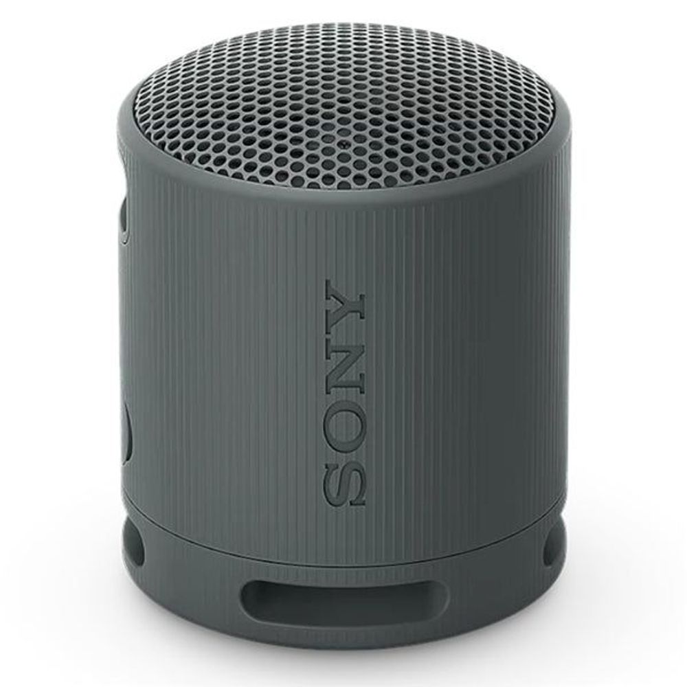 SRSXB100H - Sony SRSXB100H Wireless Speaker Grey