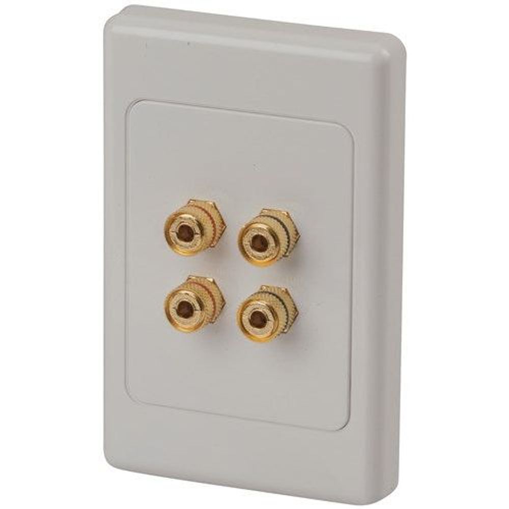 PT0472 - Gold Screw Terminals On Large Wallplate