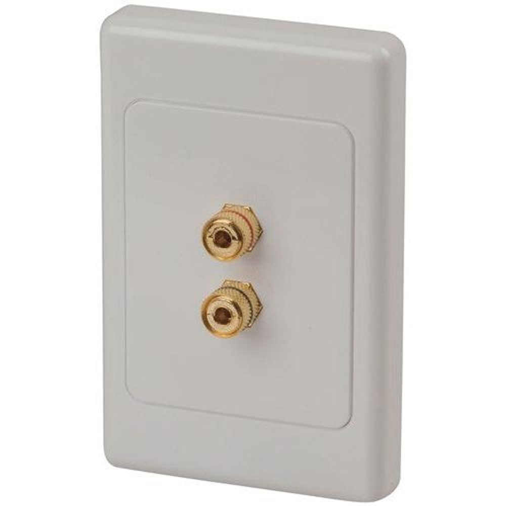 PT0470 - Gold Screw Terminals On Large Wallplate X2