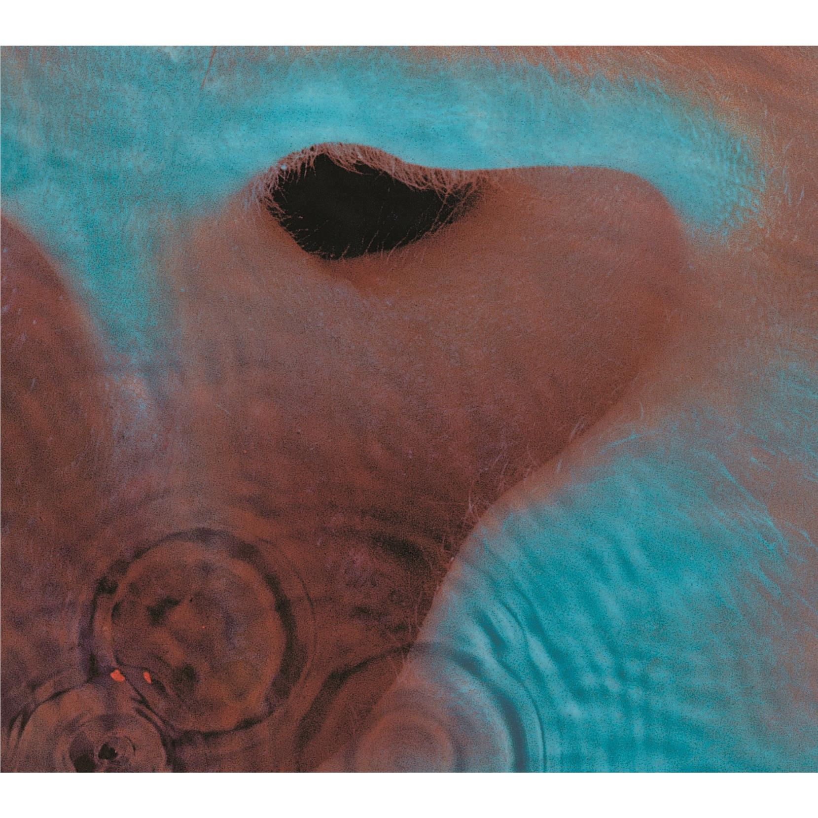 Meddle (Vinyl) (2016 Reissue) - By: Pink Floyd
