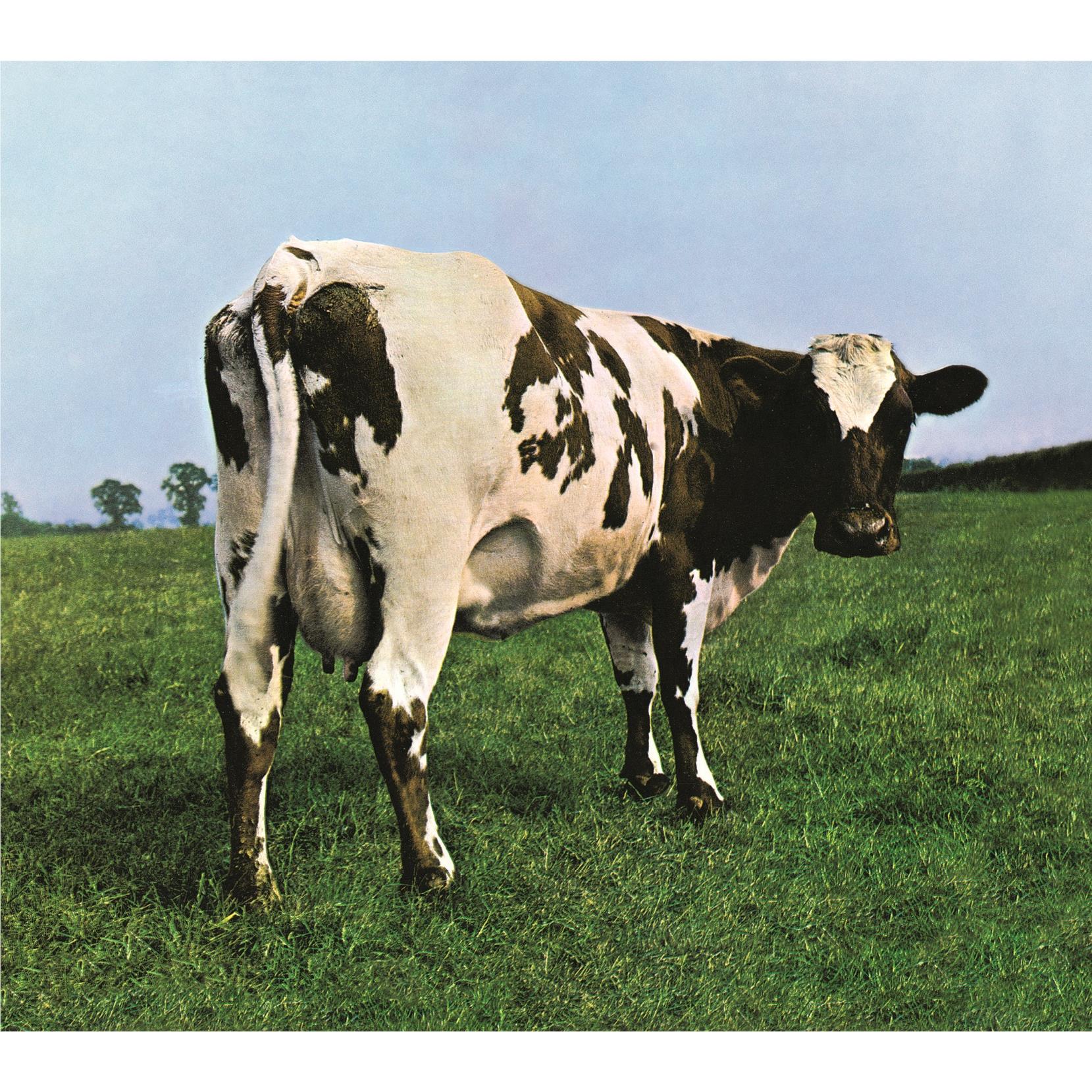 Atom Heart Mother (Vinyl) (2016 Reissue) - By: Pink Floyd