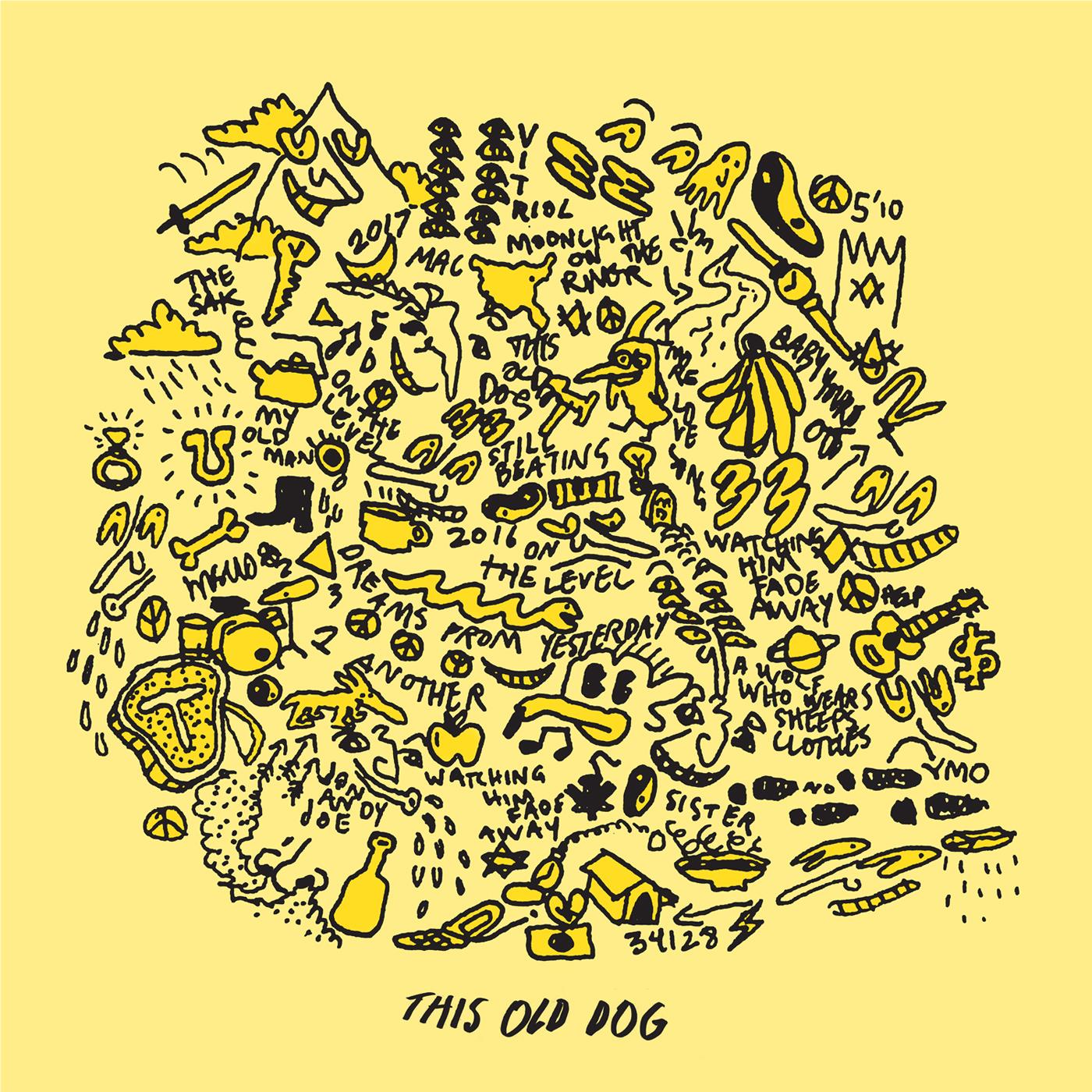 This Old Dog (Vinyl) - By: Demarco, Mac