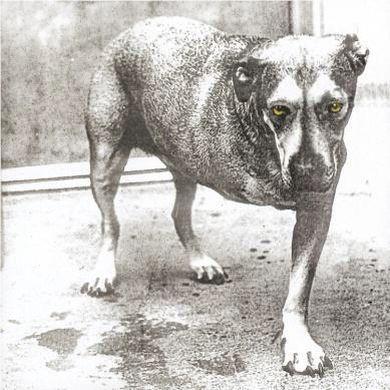 Alice In Chains (Reissue), By: Alice In Chains