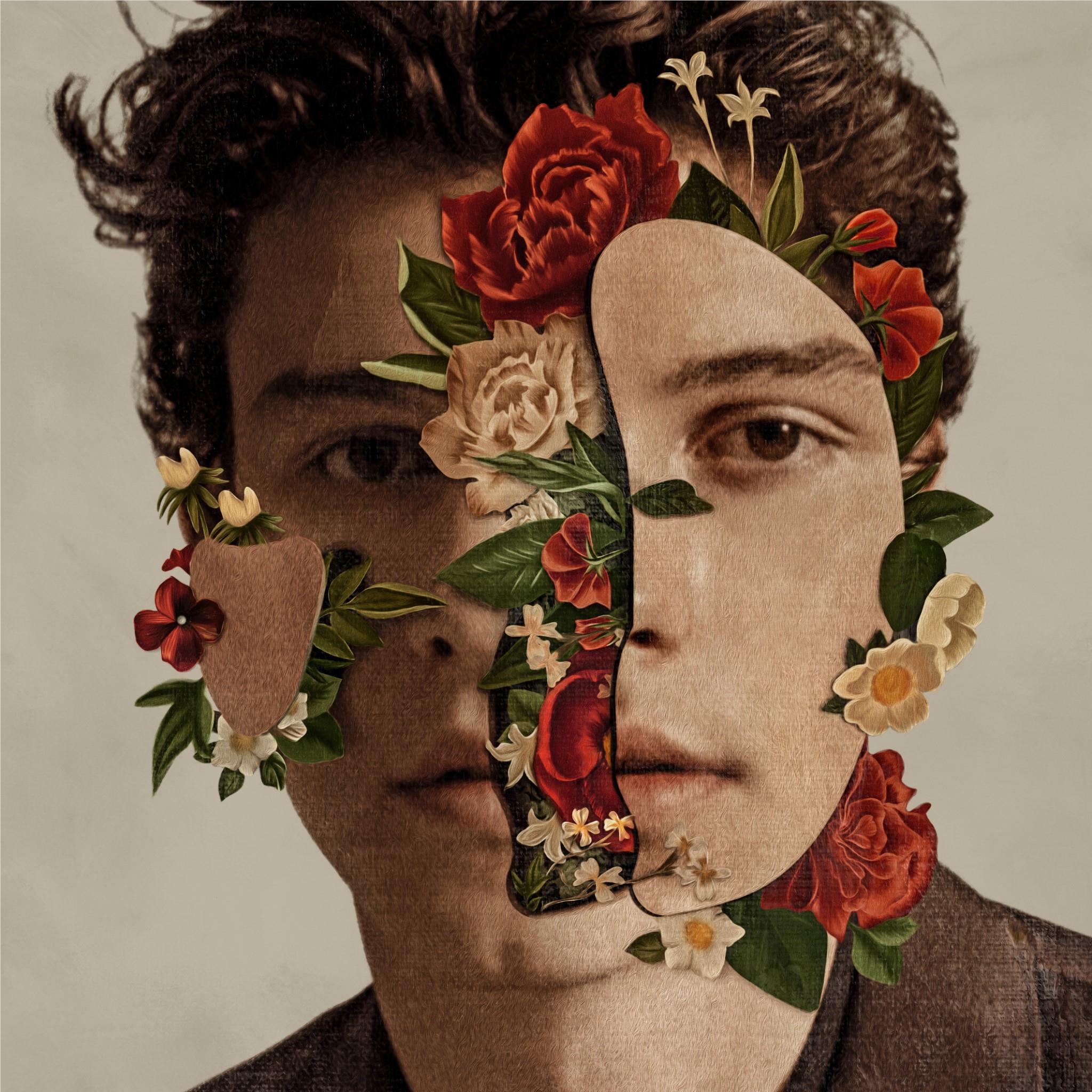 Shawn Mendes, By: Mendes, Shawn
