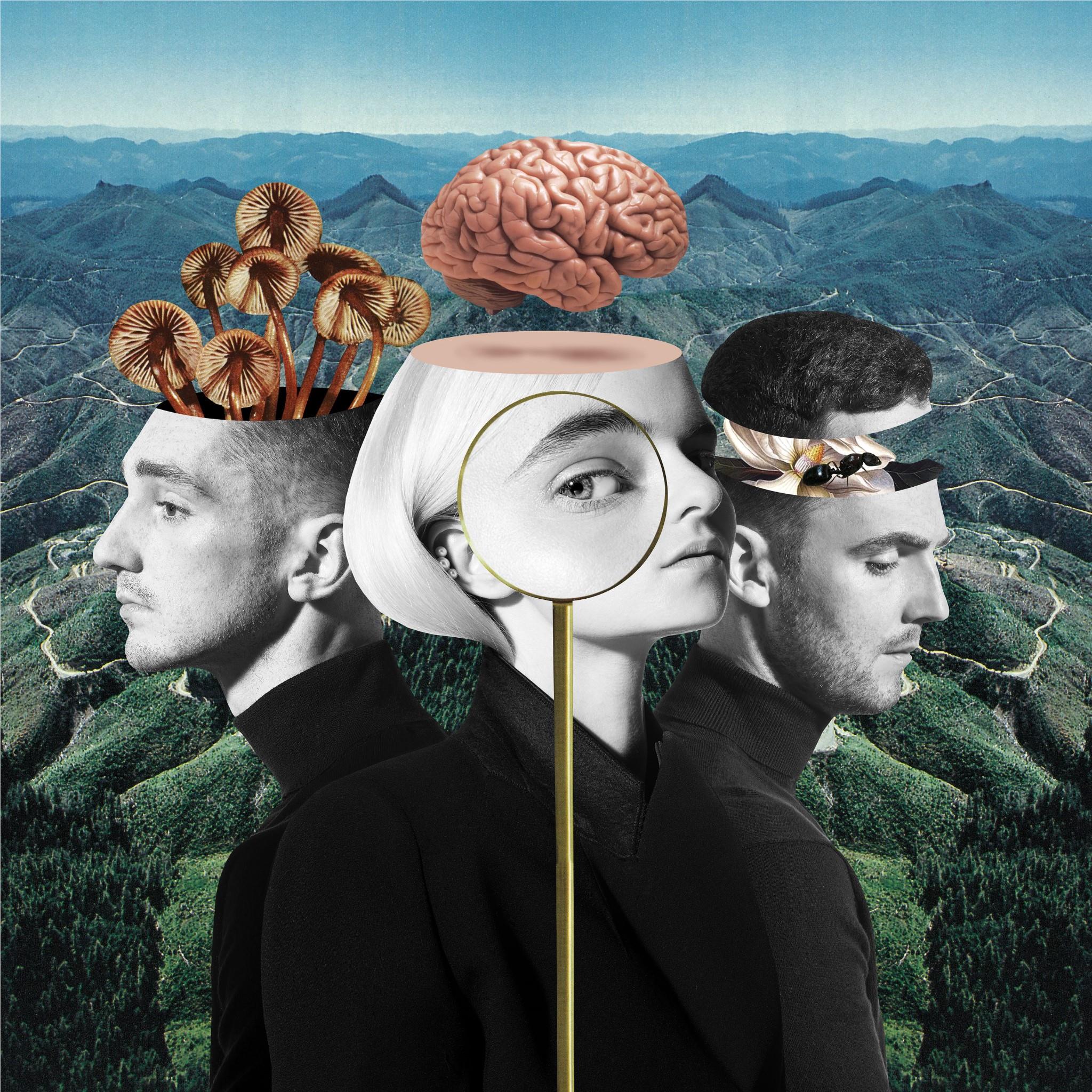 What Is Love?, By: Clean Bandit