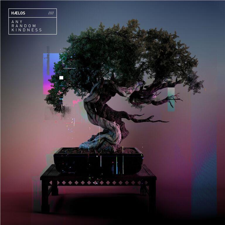 Any Random Kindness,  By: Haelos