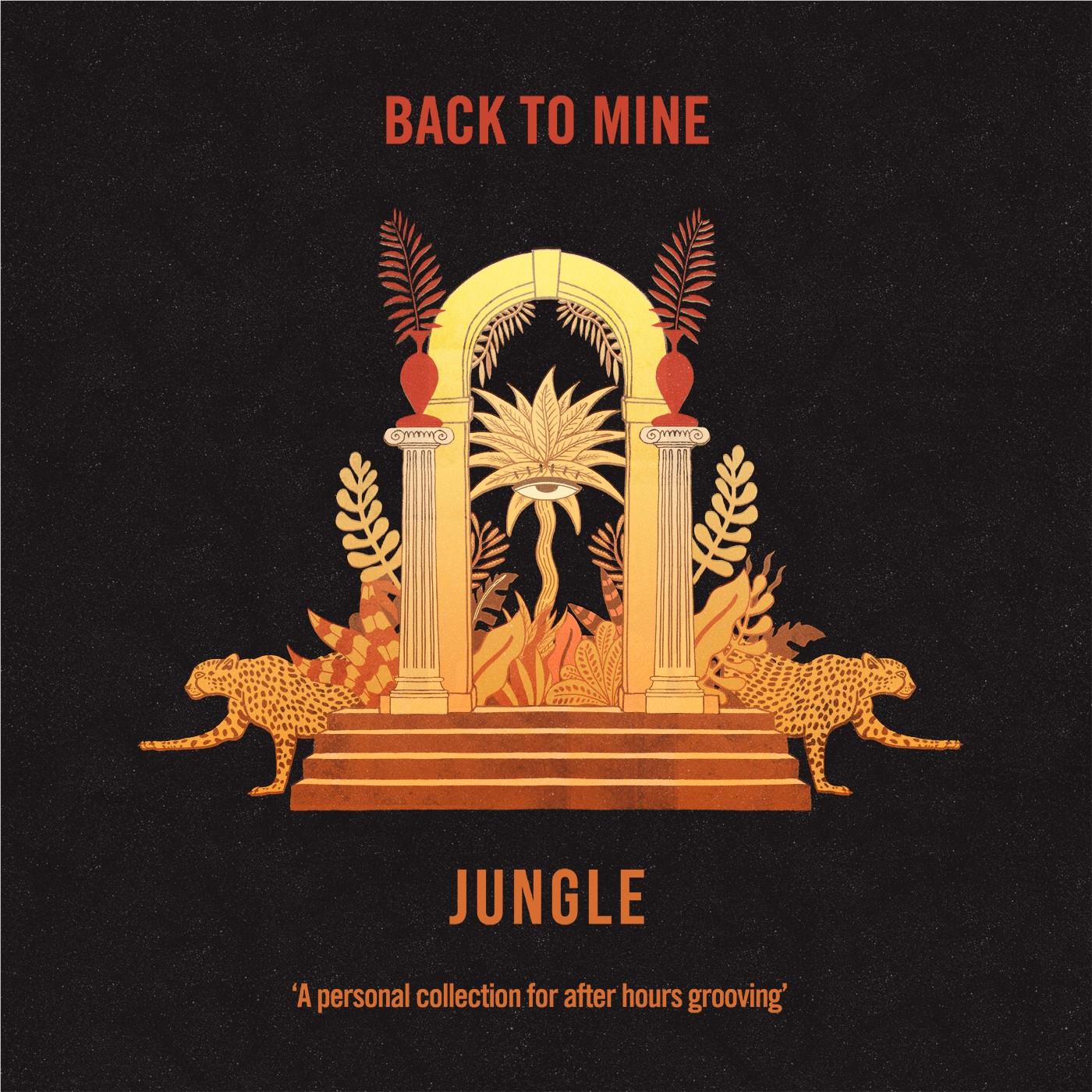 Back To Mine (Vinyl) - By: Jungle