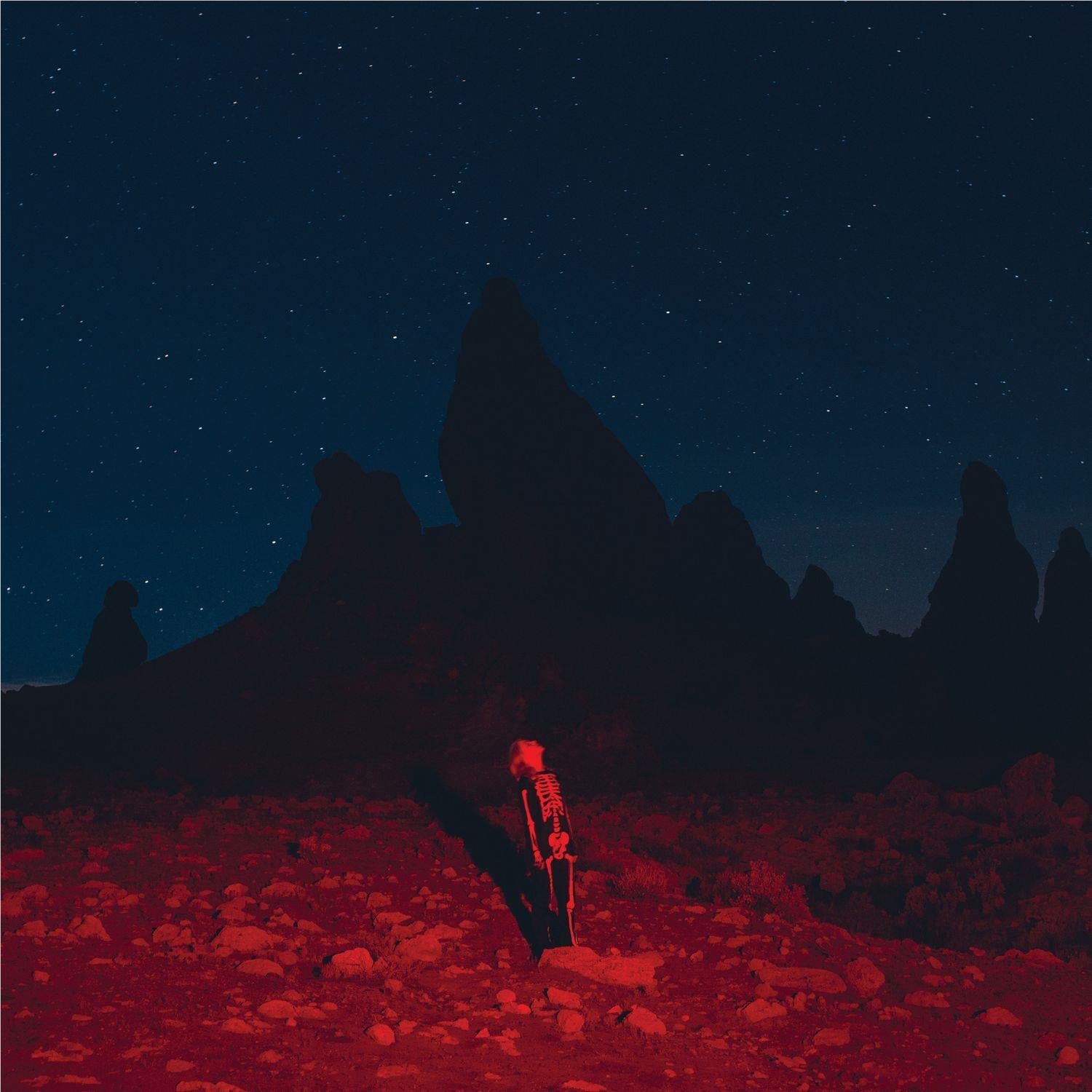 Punisher, By: Phoebe Bridgers