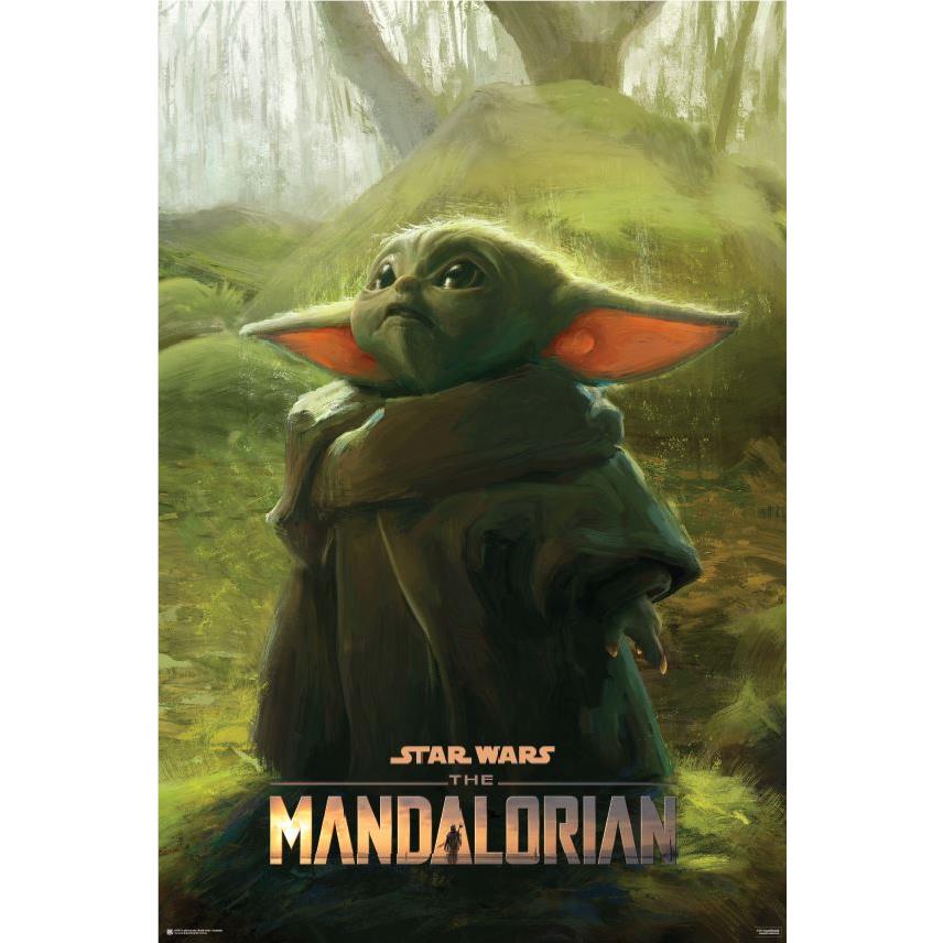 Star Wars: The Mandalorian Swamp Poster