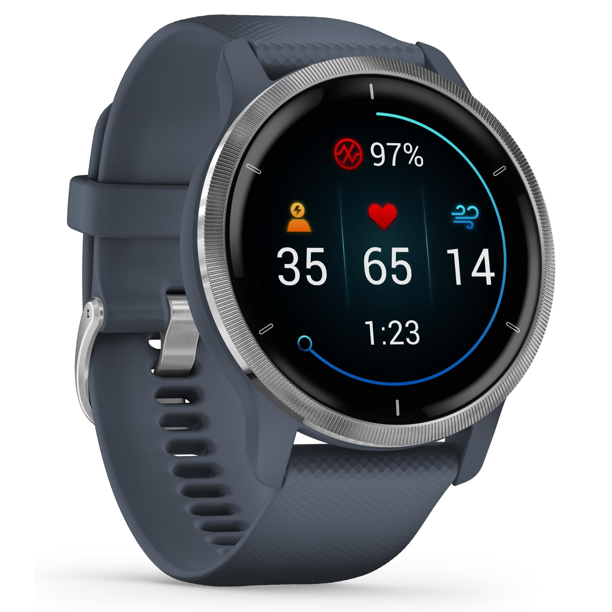 Garmin Venu 2 Smartwatch (Silver/Granite Blue)