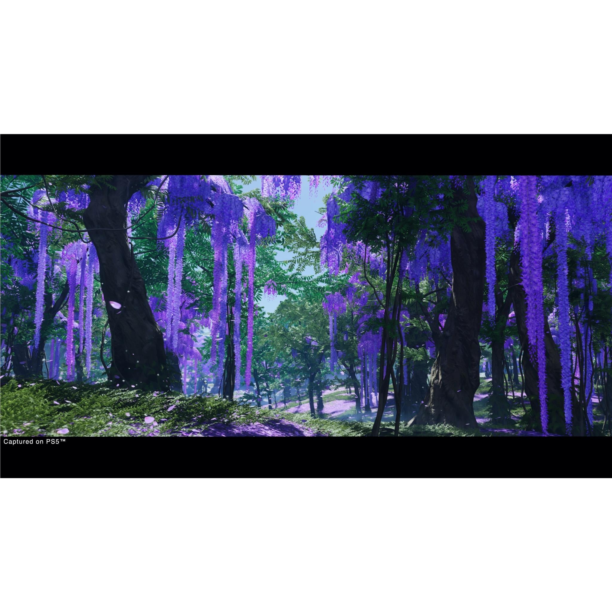 Ghost of Tsushima Director’s Cut