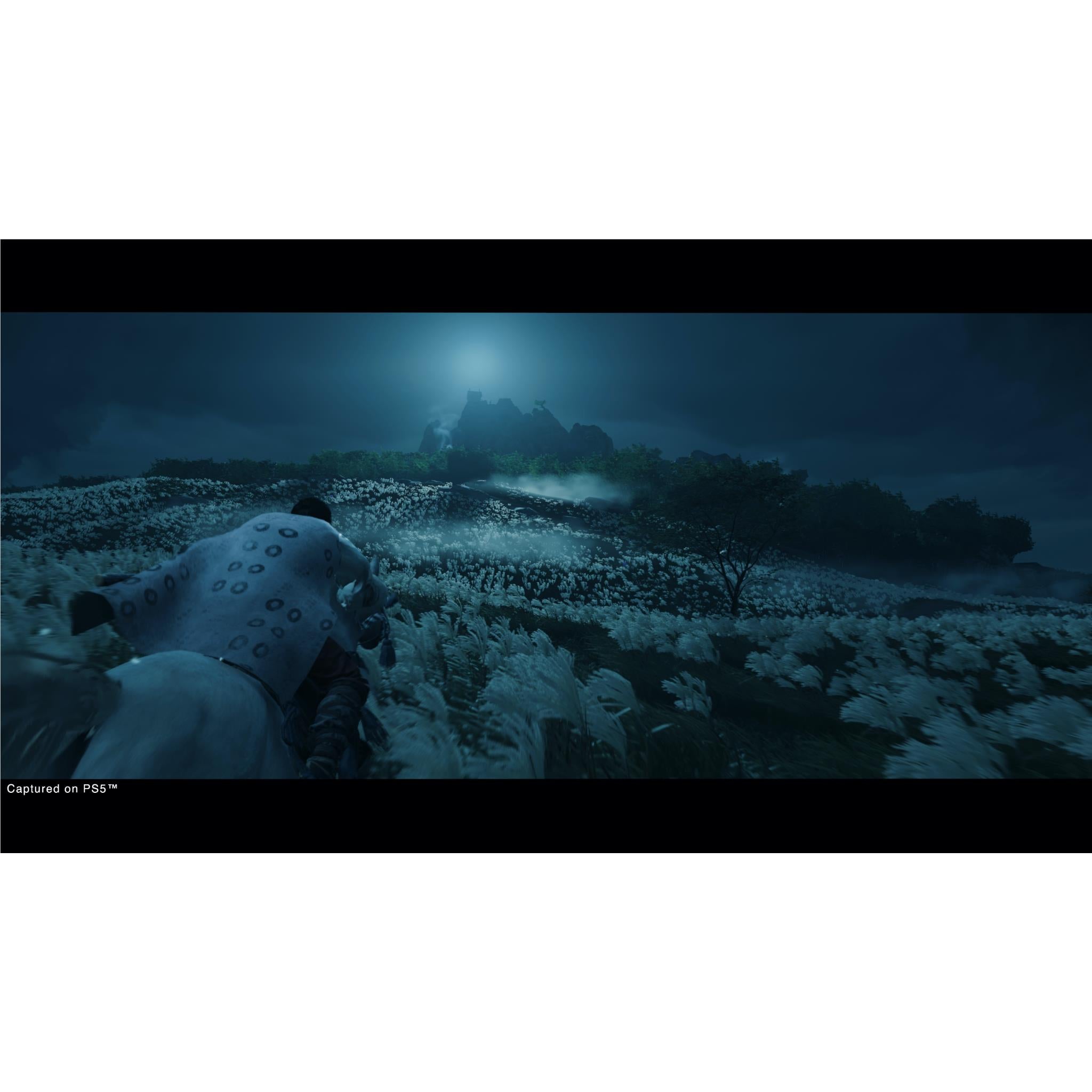 Ghost of Tsushima Director’s Cut