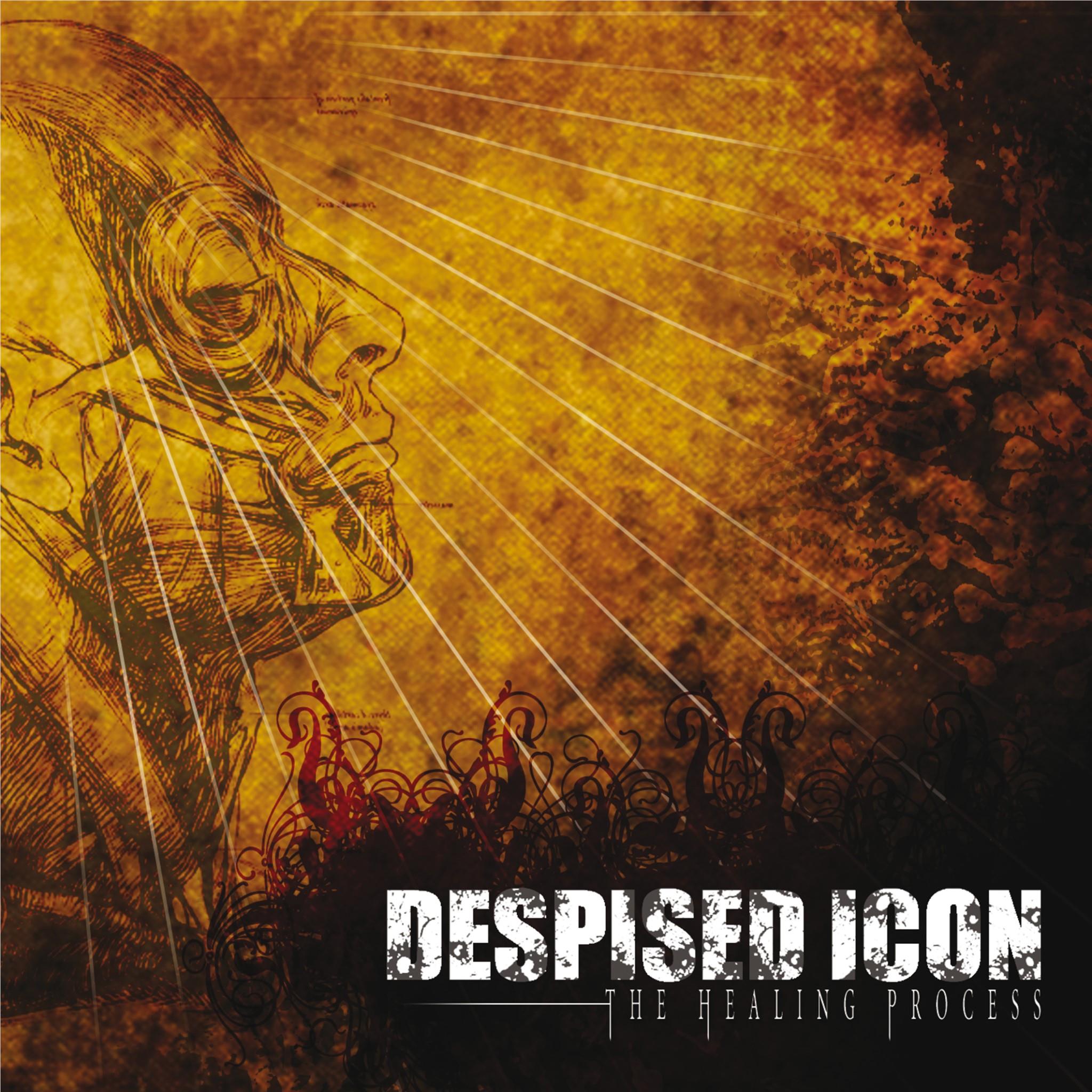 Healing Process, By: Despised Icon