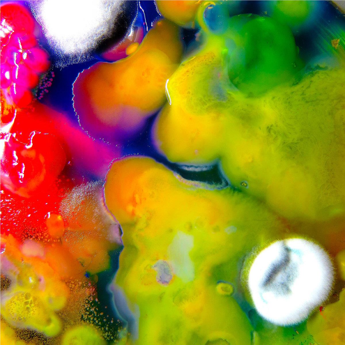 Famously Alive, By: Guerilla Toss