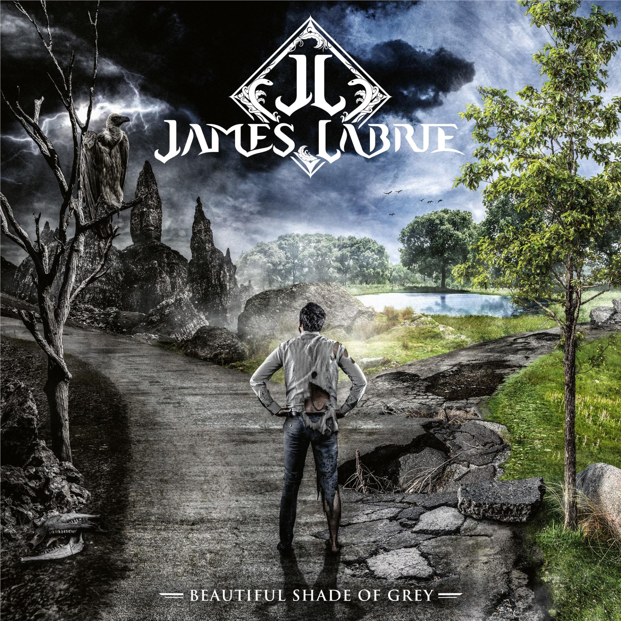 Beautiful Shade Of Grey,  By: Labrie, James