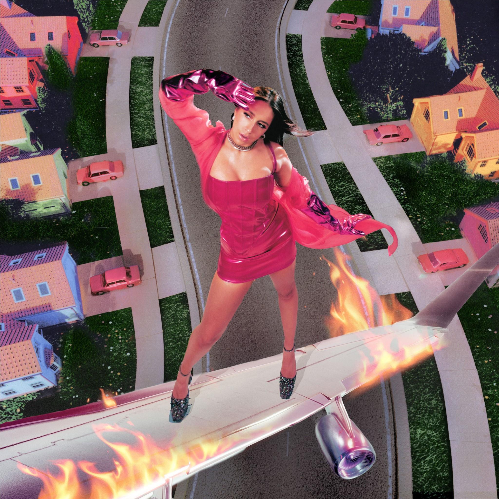 I Used To Think I could Fly,  By: Mcrae, Tate