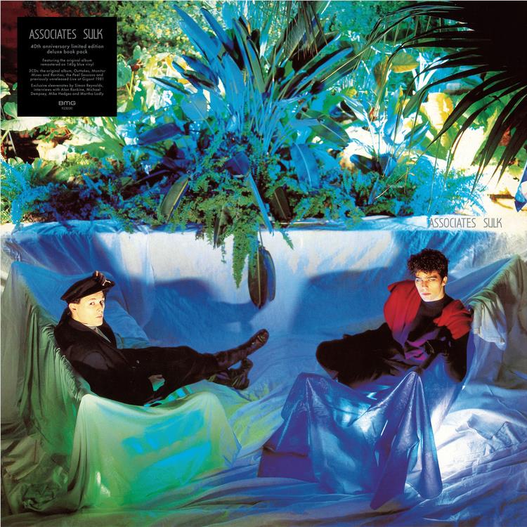 Sulk (40th Anniversary Vinyl Box Set) - By: Associates, The