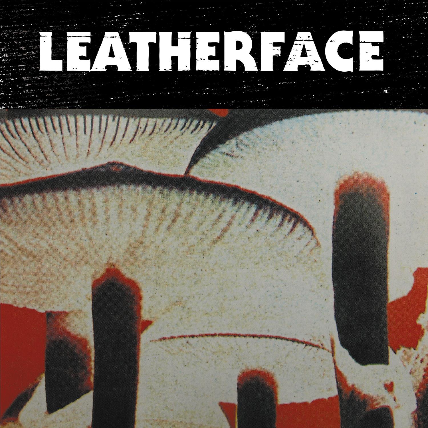 Mush (Vinyl) - By:Leatherface