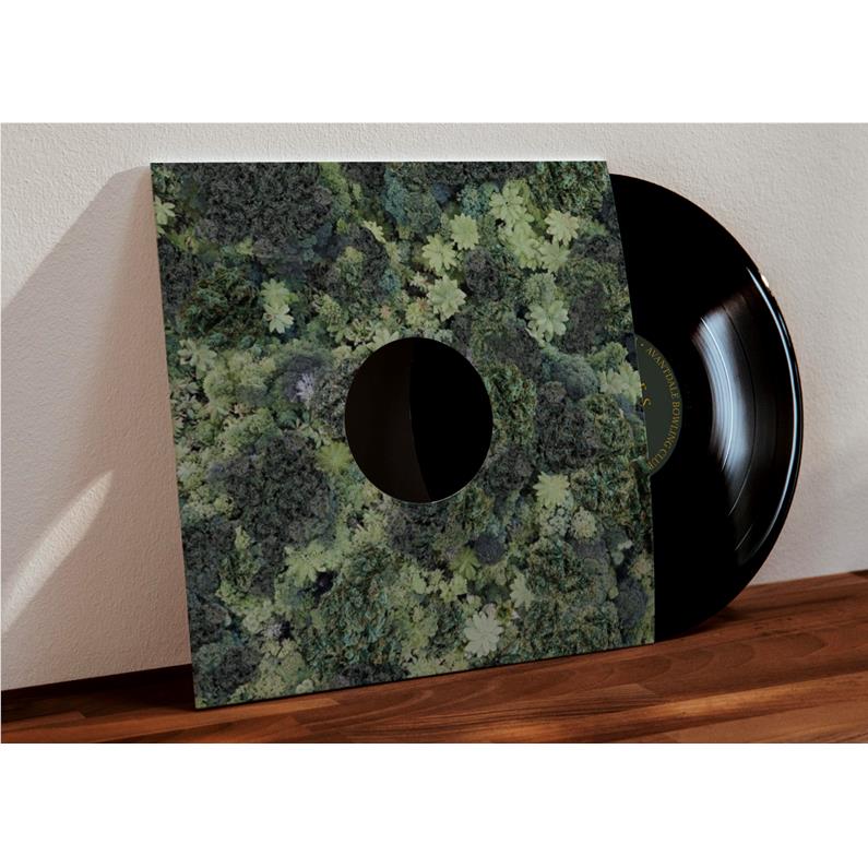 Trees (Vinyl) - By: Avantdale Bowling Club