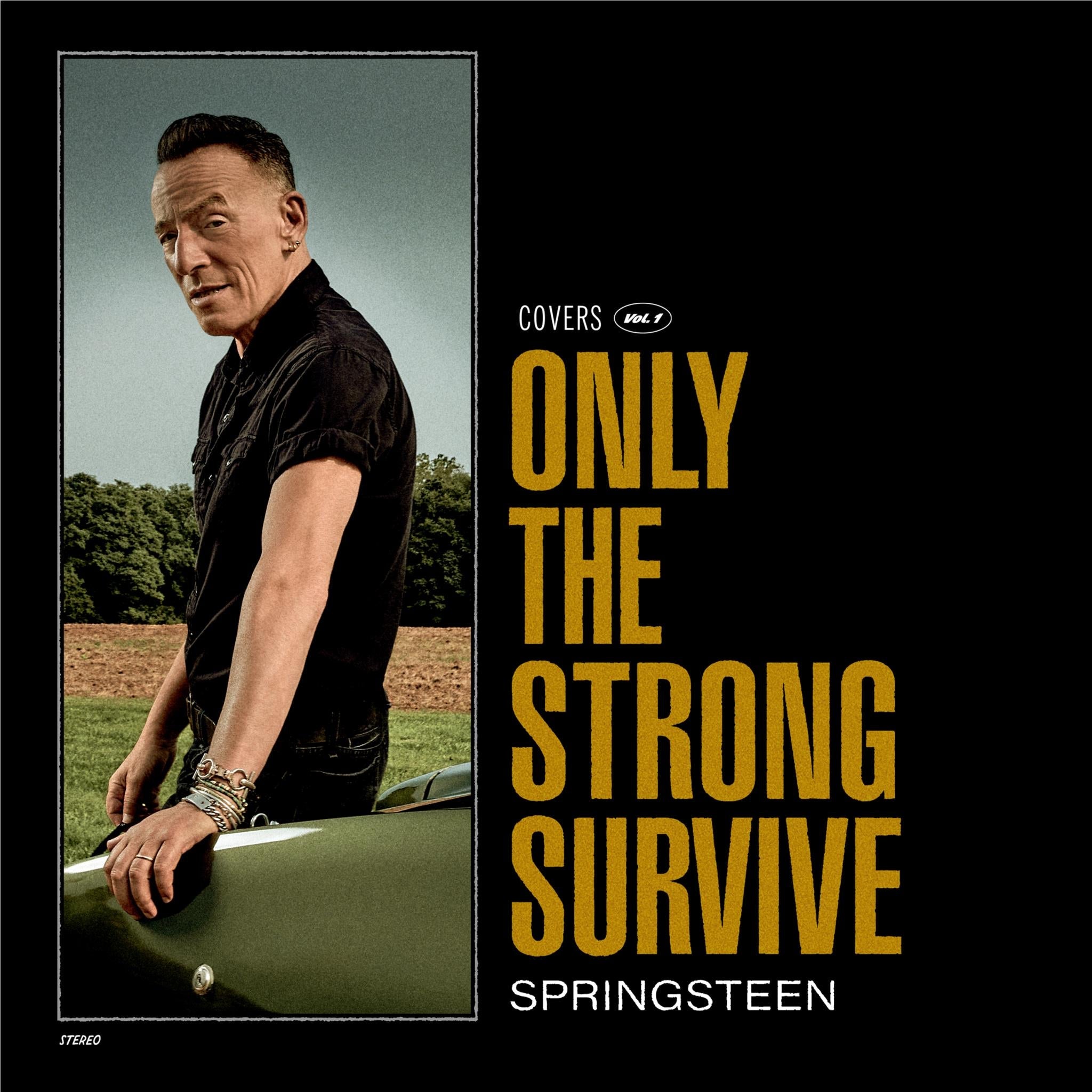 Only The Strong Survive (Vinyl) - By: Springsteen, Bruce
