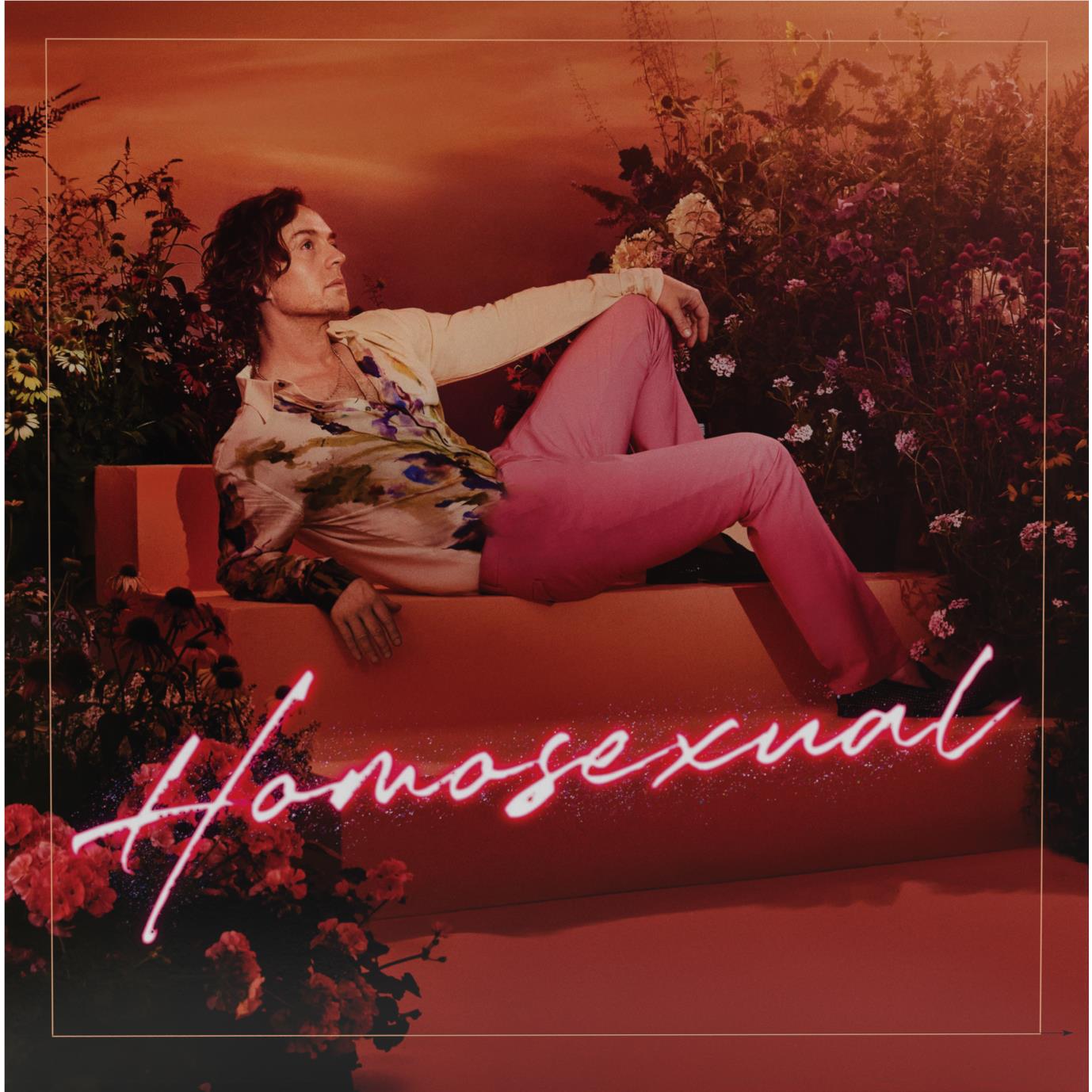 Homosexual, By: Hayes, Darren