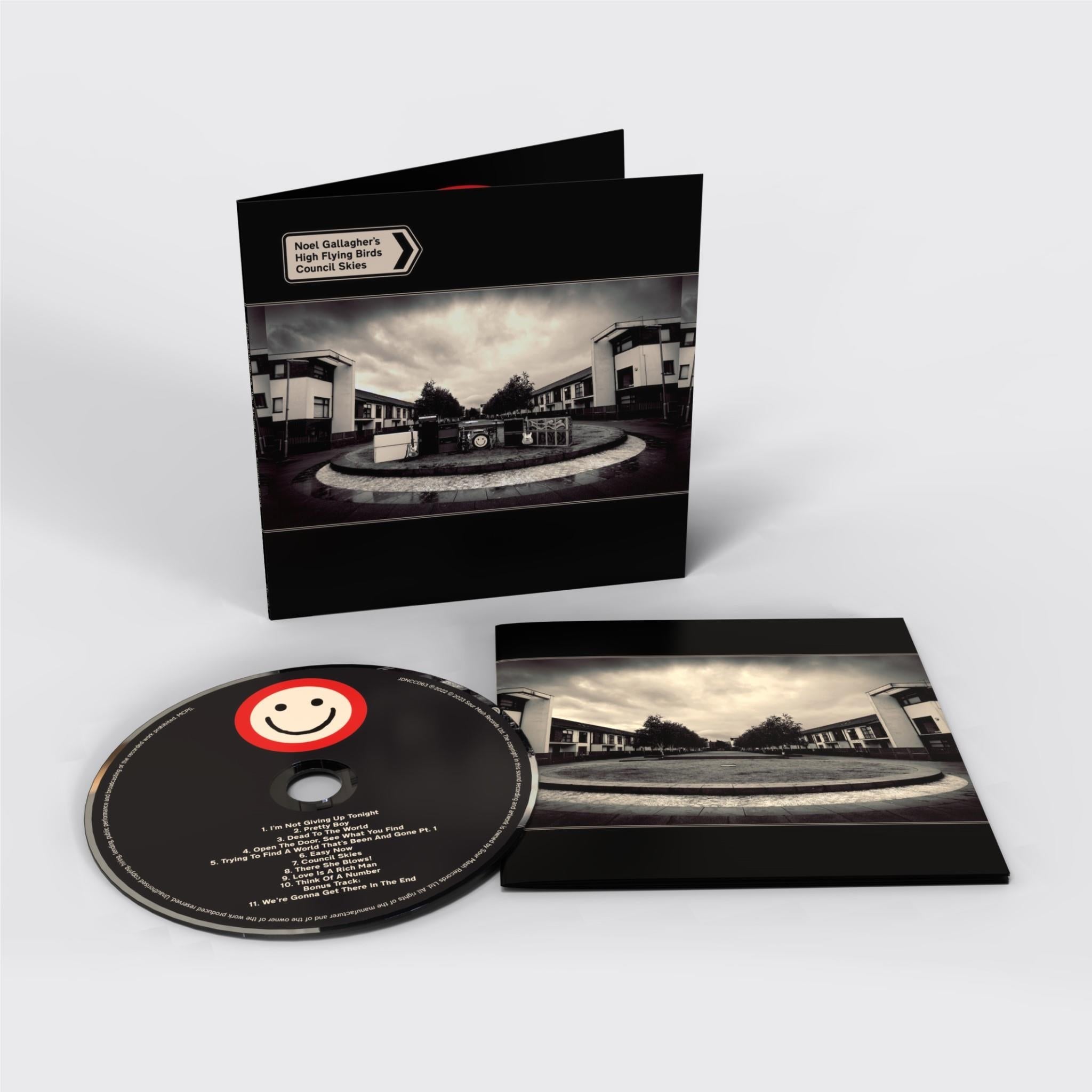 Council Skies,  By: Noel Gallagher's High Flying Birds